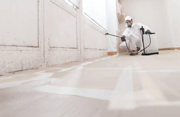 24/7 Emergency Bathroom Mold Removal experts in Avondale, PA