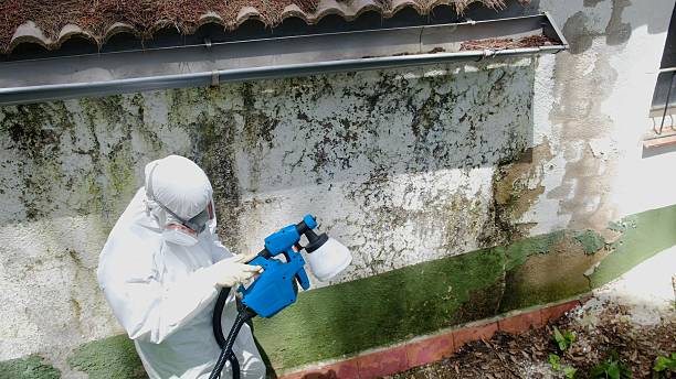 Top rated local Bathroom Mold Removal specialists in Avondale, PA
